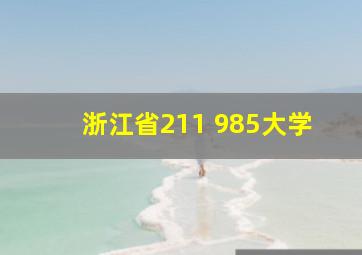 浙江省211 985大学